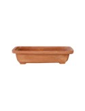Terracotta Bonsai Pot